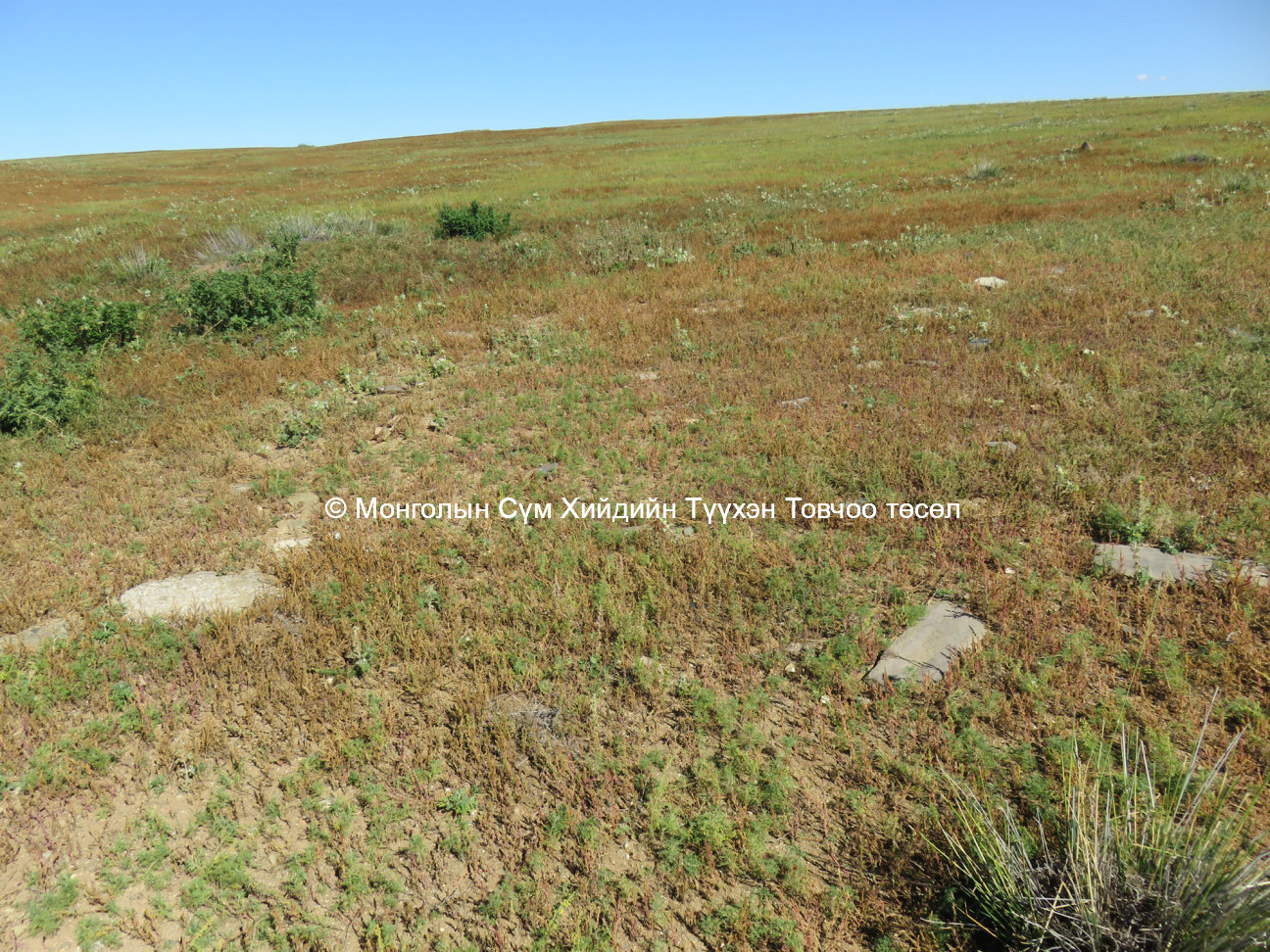 View of site